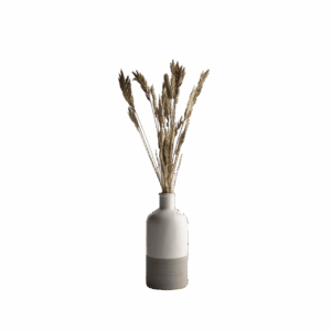 Interior Vase